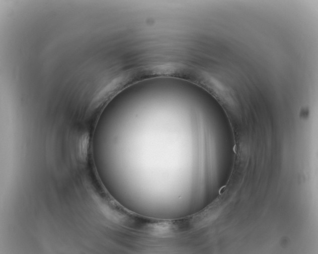 X0000093770118200710231320