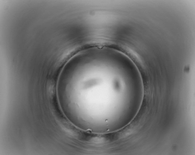 X0000093770119200710231320