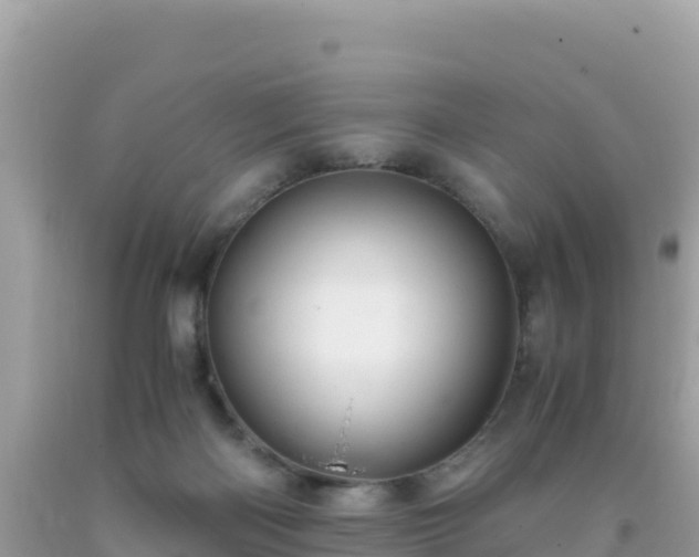 X0000093770122200710231320