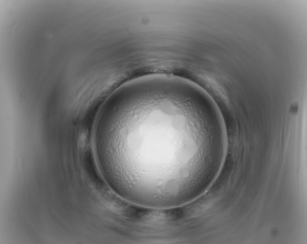 X0000093770123200710231320