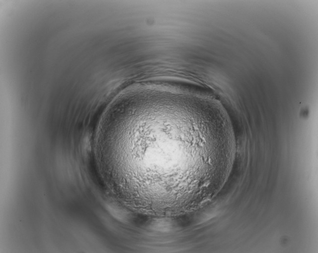 X0000093770127200710231320