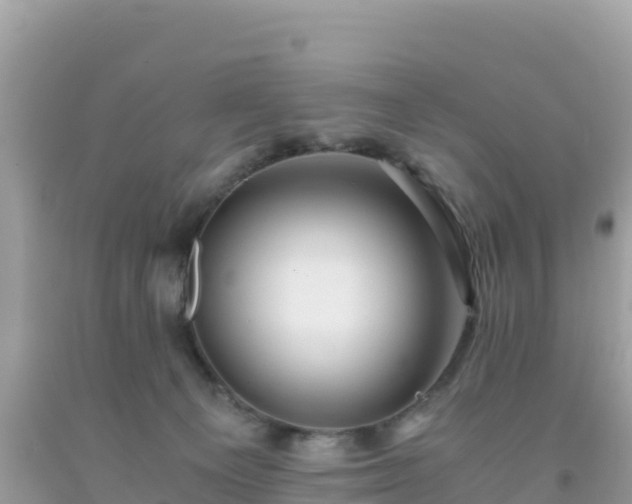 X0000093770129200710231320