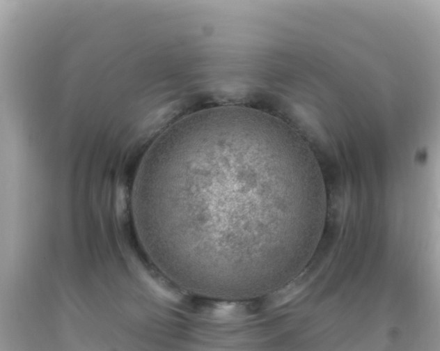 X0000093770130200710231320