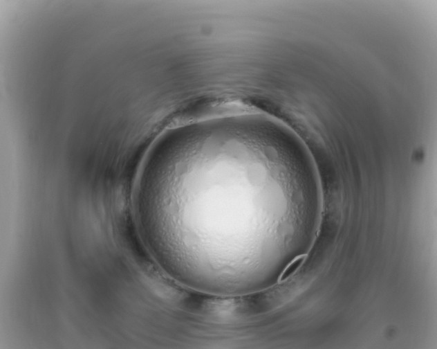 X0000093770131200710231320