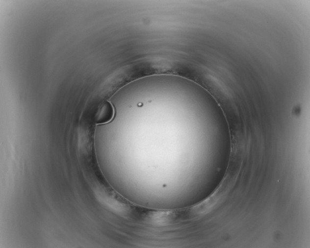 X0000093770136200710231320