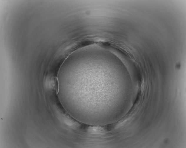 X0000093770137200710231320