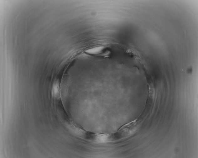 X0000093770143200710231320