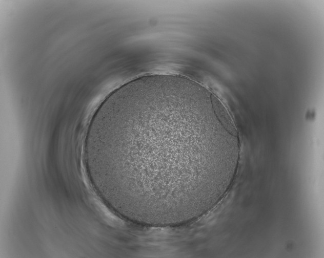 X0000093770145200710231319