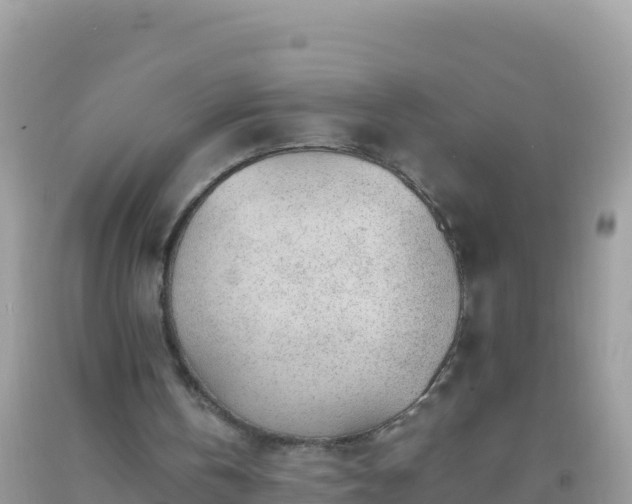 X0000093770146200710231319