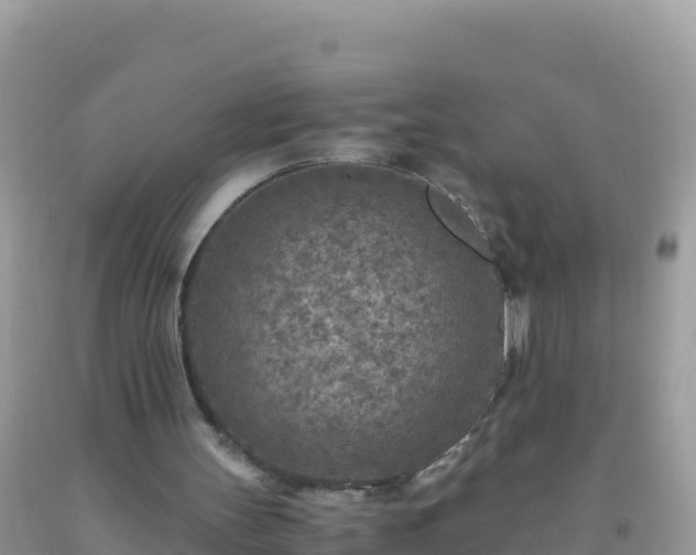 X0000093770147200710231319