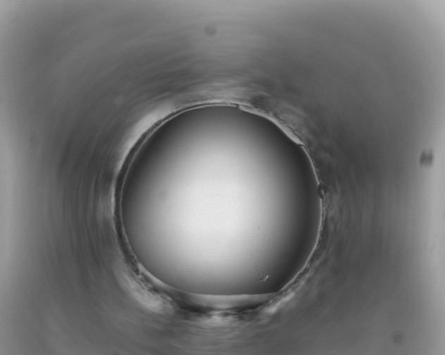 X0000093770148200710231319