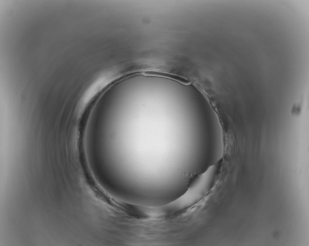 X0000093770150200710231319