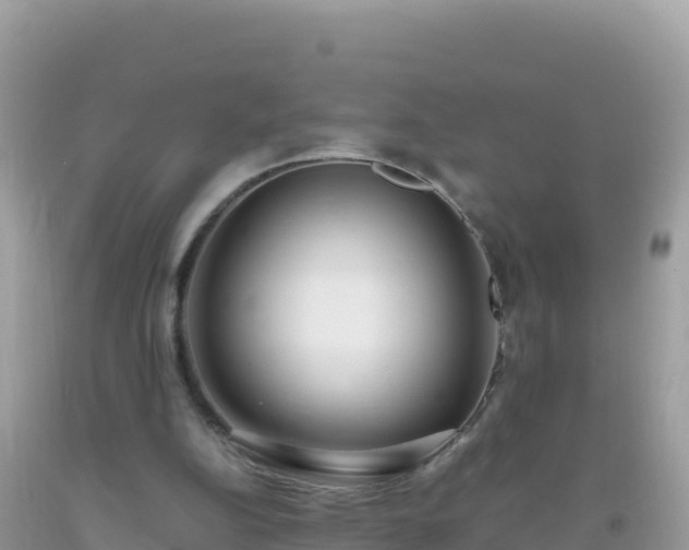 X0000093770152200710231319