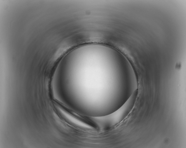 X0000093770154200710231319