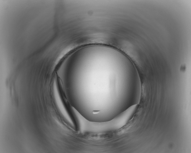 X0000093770156200710231319