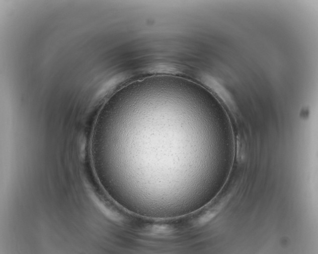 X0000093770157200710231319