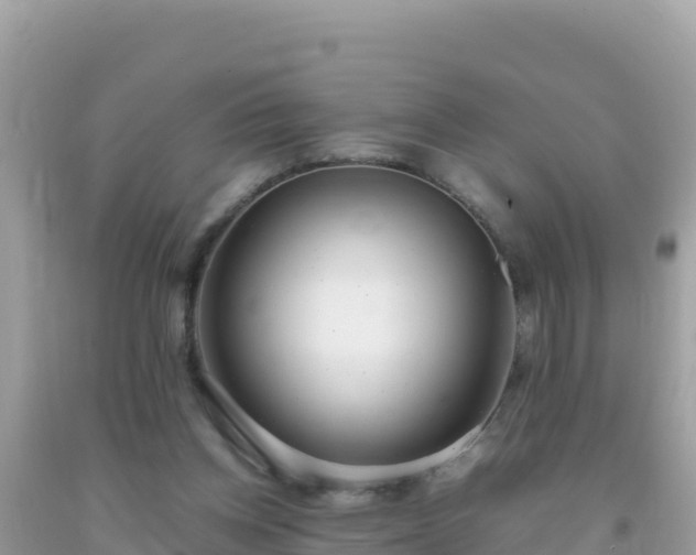 X0000093770158200710231319