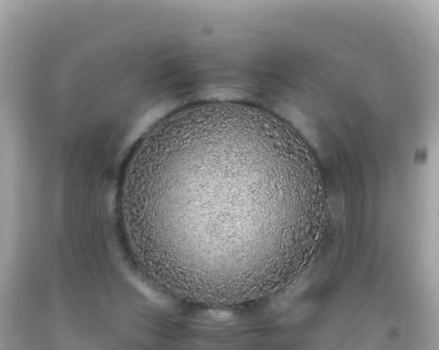 X0000093770159200710231319