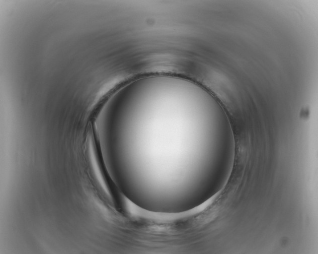 X0000093770160200710231319