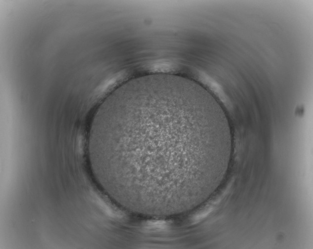 X0000093770161200710231319