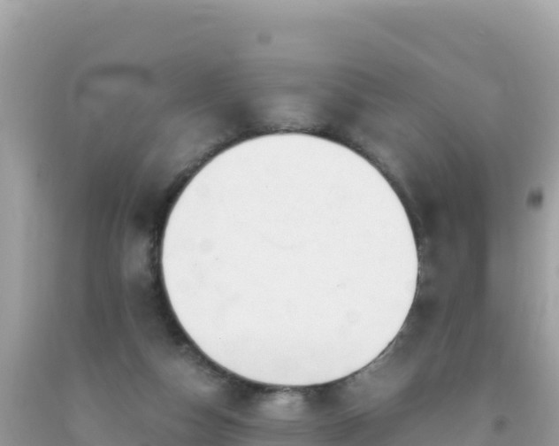 X0000093770162200710231319