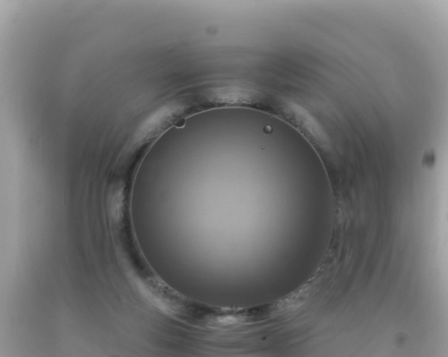 X0000093770163200710231319