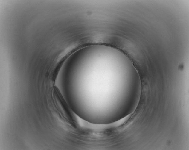 X0000093770164200710231319