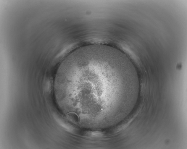 X0000093770165200710231319