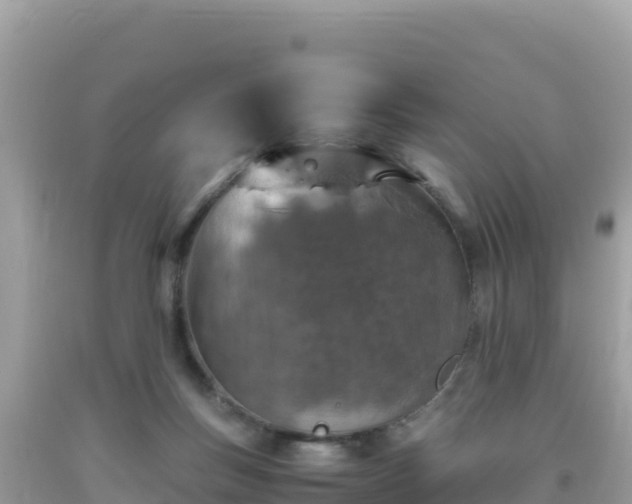 X0000093770167200710231319