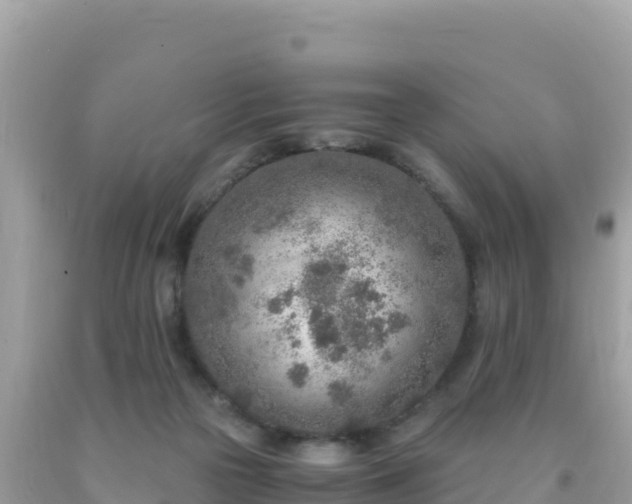 X0000093770169200710231319