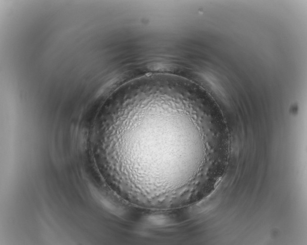 X0000093770171200710231319