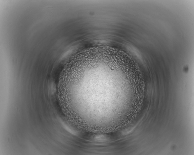 X0000093770173200710231319