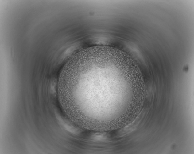 X0000093770175200710231319