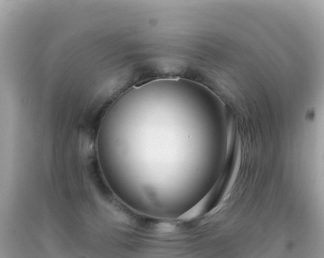 X0000093770176200710231319