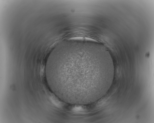 X0000093770177200710231319