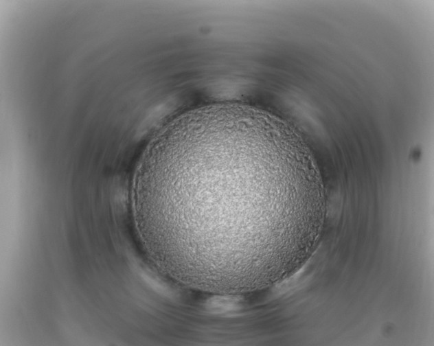 X0000093770179200710231320