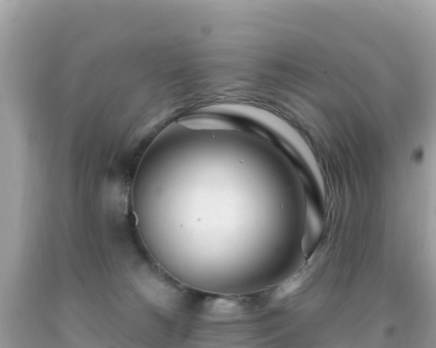 X0000093770180200710231320