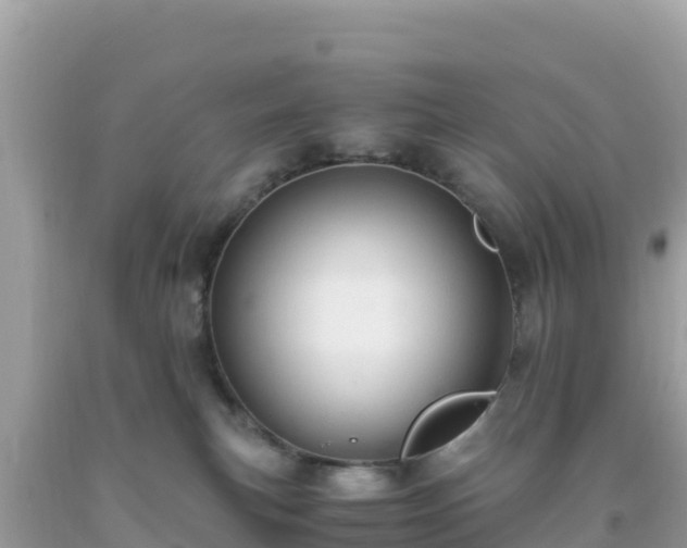 X0000093770183200710231320