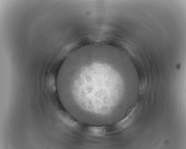 X0000093770187200710231320