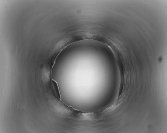 X0000093770188200710231320