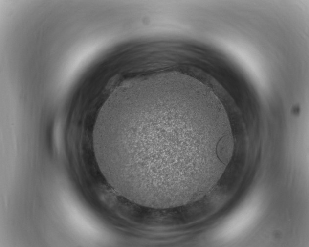 X0000093770189200710231320