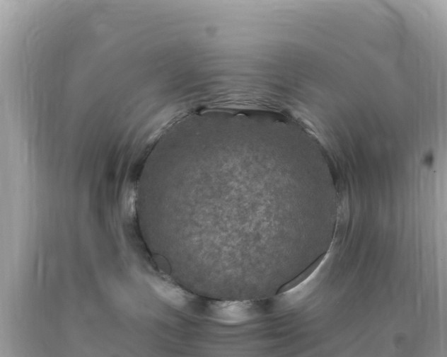 X0000093770191200710231320