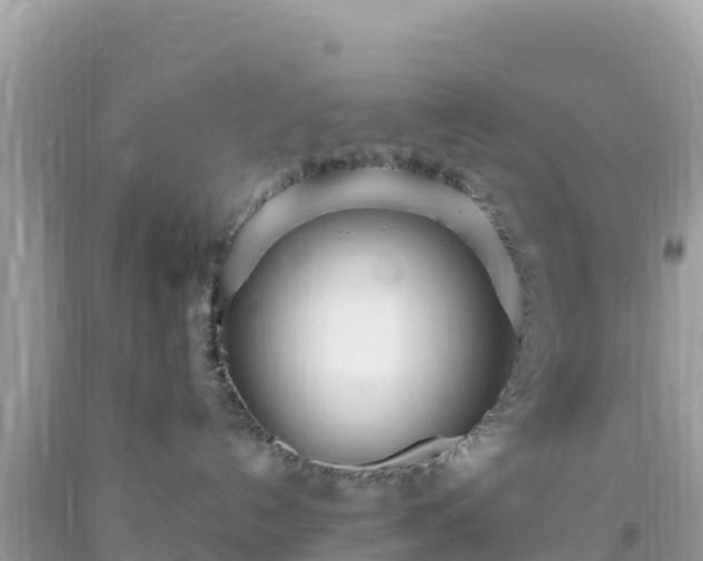 X0000093770192200710231320