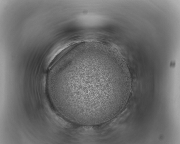 X0000093770194200710231319