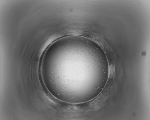 X0000093770195200710231319