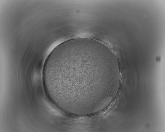 X0000093770196200710231319