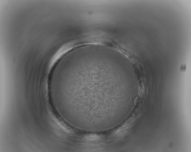 X0000093770198200710231319