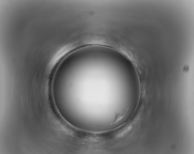 X0000093770199200710231319