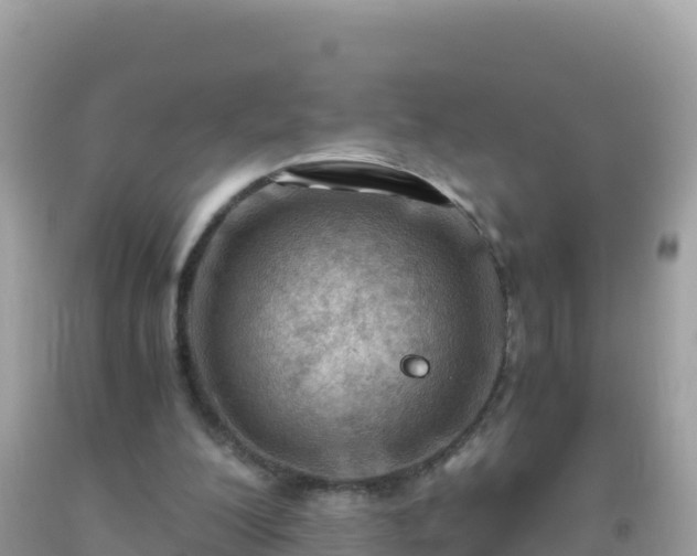 X0000093770200200710231319