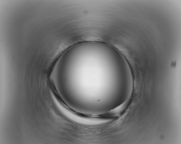 X0000093770201200710231319